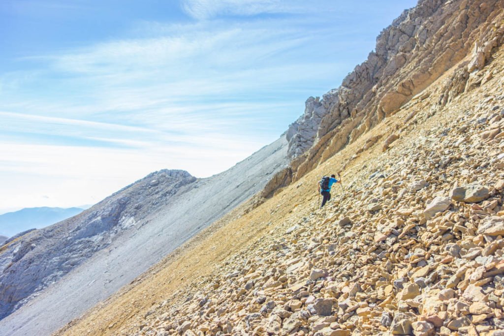 pico otal